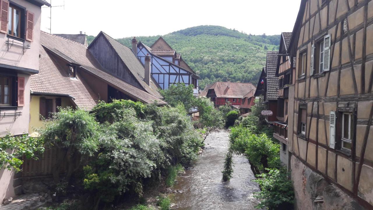 Gîtes individuels à Kaysersberg Extérieur photo