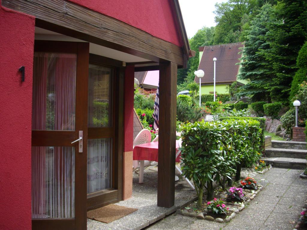 Gîtes individuels à Kaysersberg Extérieur photo